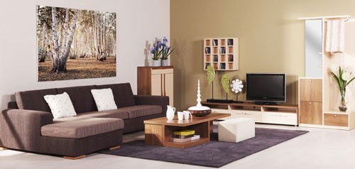 家具清潔保養指南 擦拭家具的技巧與要點